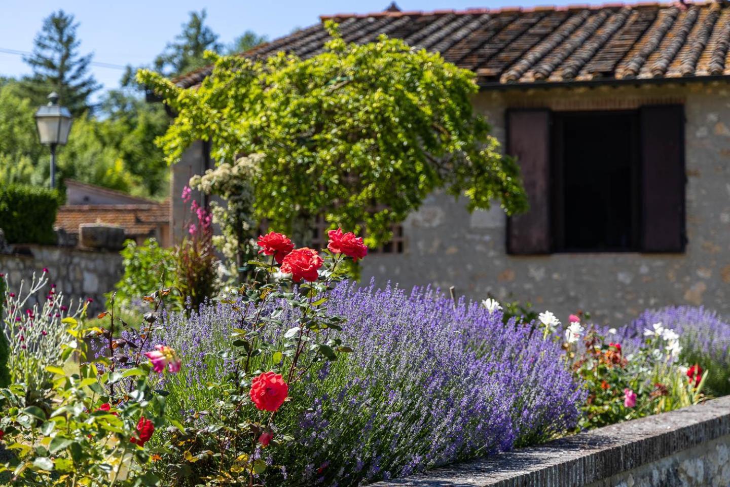 Il Fienile Dei Cardinali Lägenhet Colle Val D'Elsa Exteriör bild